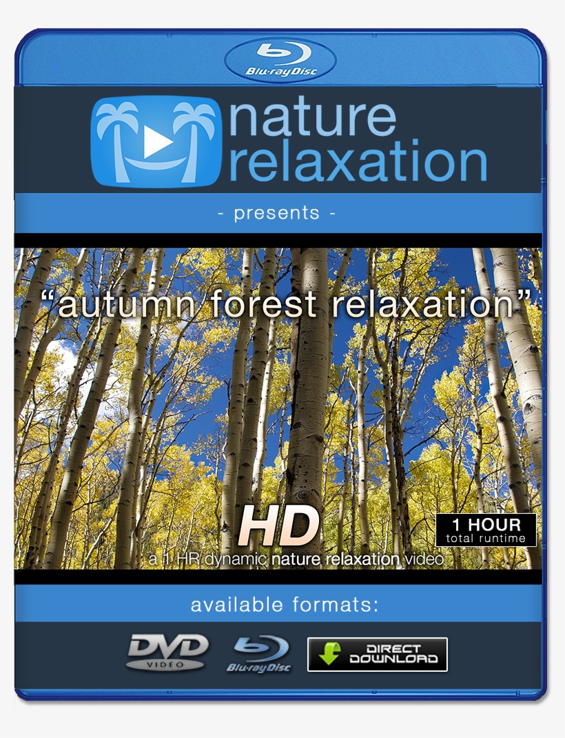 "autumn Forest Relaxation" Hd Relaxation Video 1 Hr, transparent png download