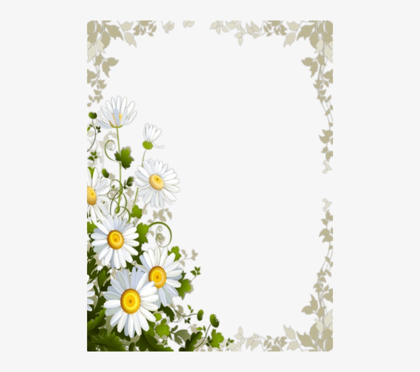 Free Png Transparent Frame With Daisies Png Images, transparent png download