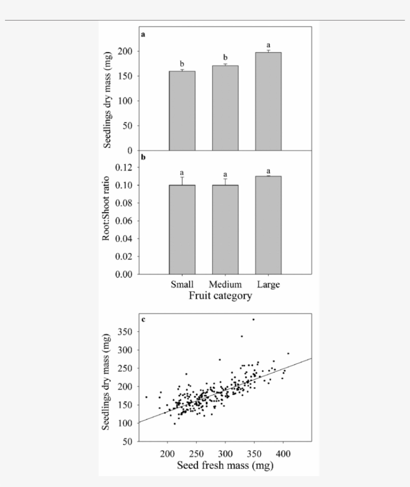 Dry Mass Of Seedlings And Relationships Between Seed, transparent png download