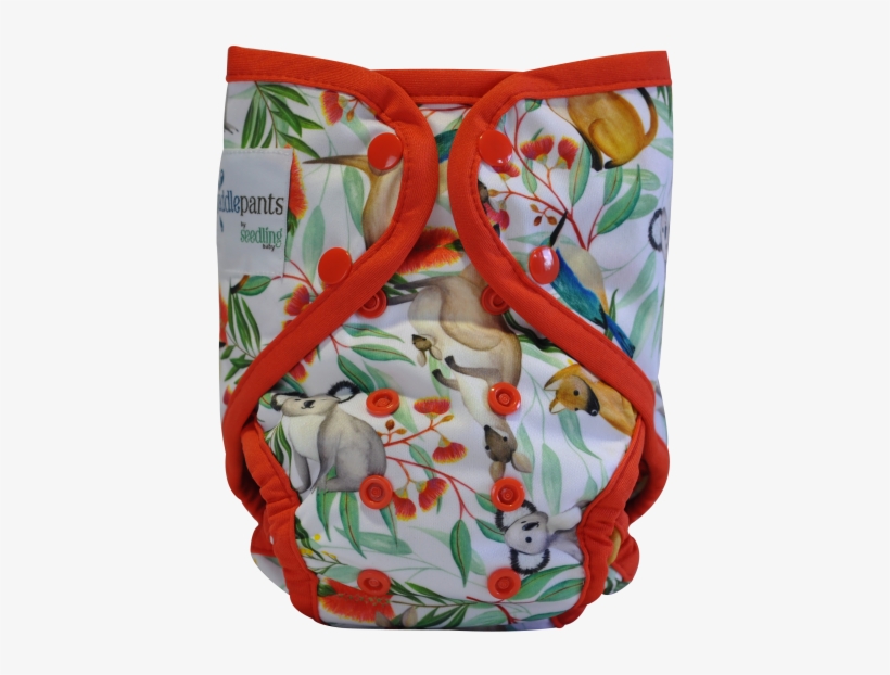 Paddle Pants Swim Nappy, transparent png download