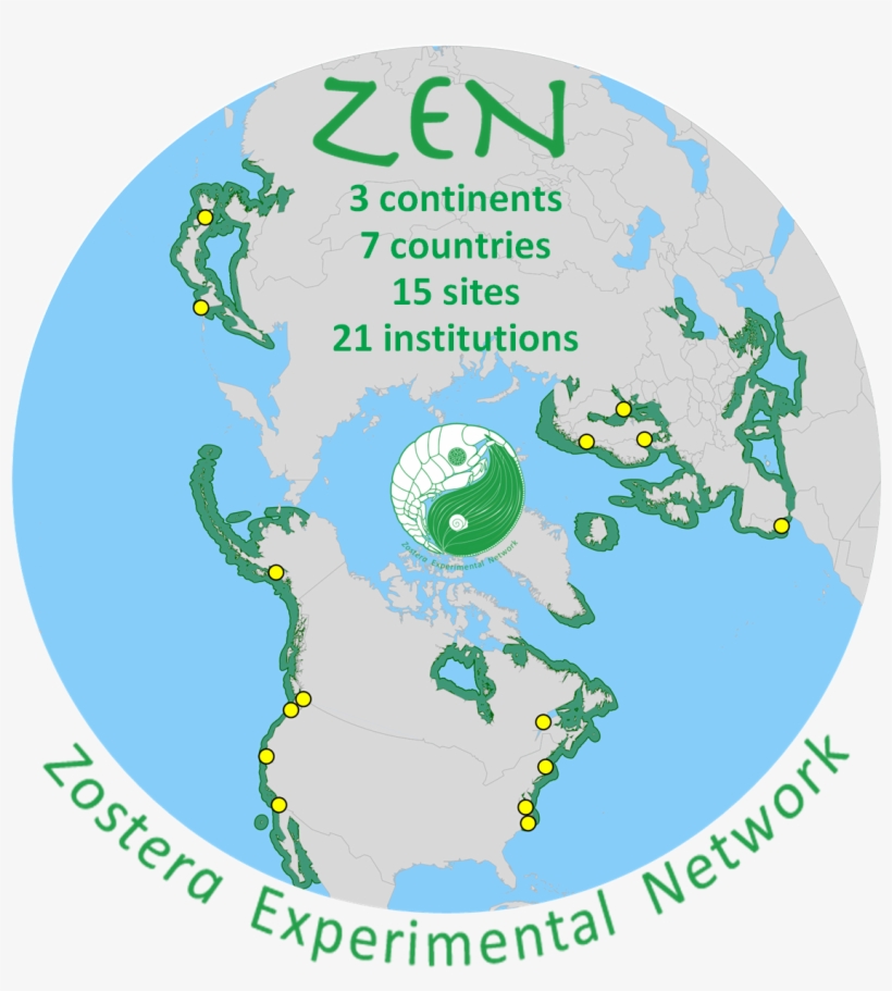 The Cross-site Zen Experiment From 2011 Is In Press, transparent png download