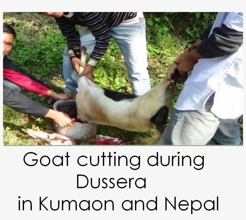 Nepal Flag Png, transparent png download