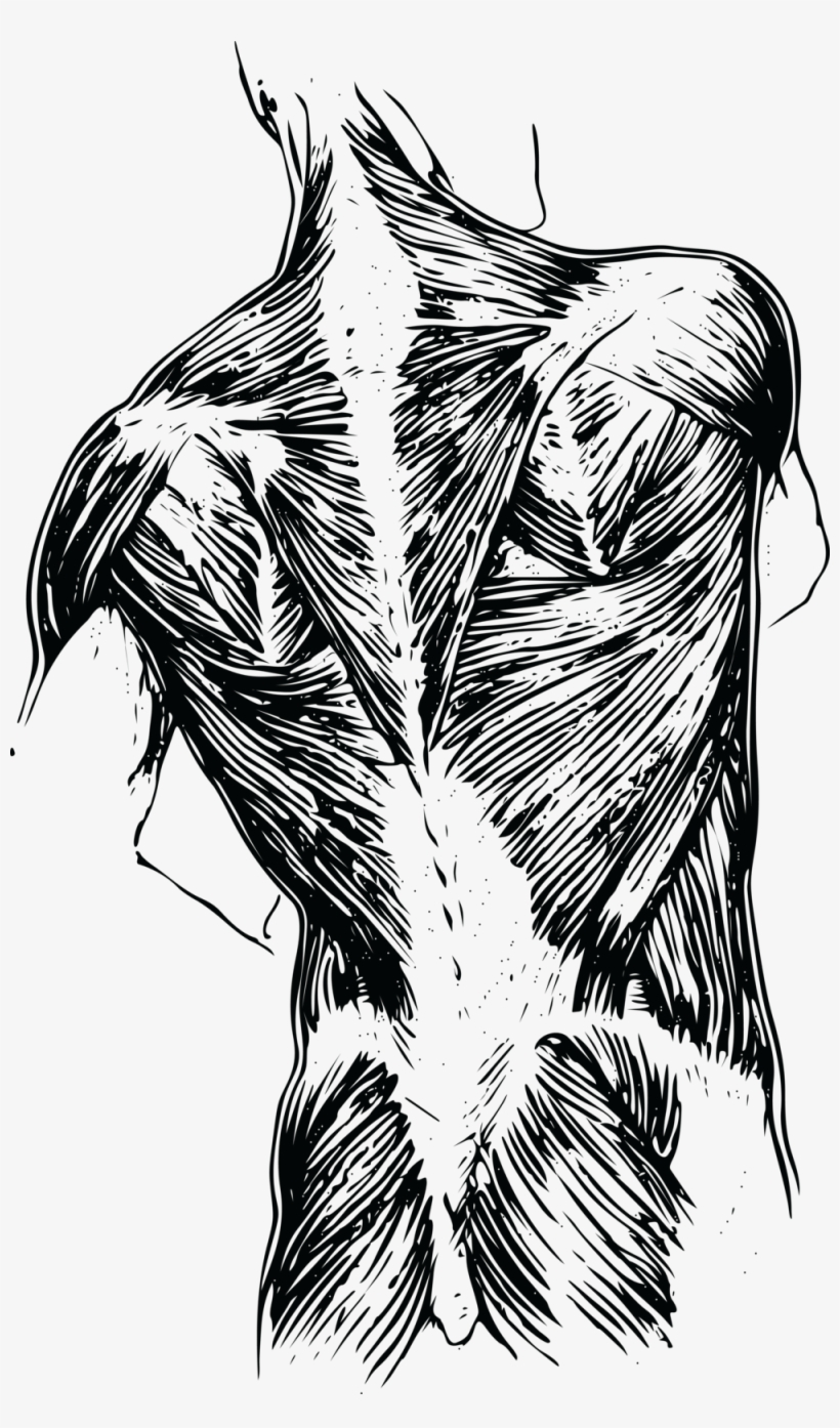 •○• Tina Drobilek, Licensed Massage Therapist •○•, transparent png download