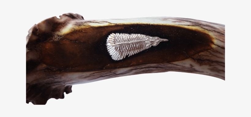 Silver Turkey Or Eagle Feather, transparent png download