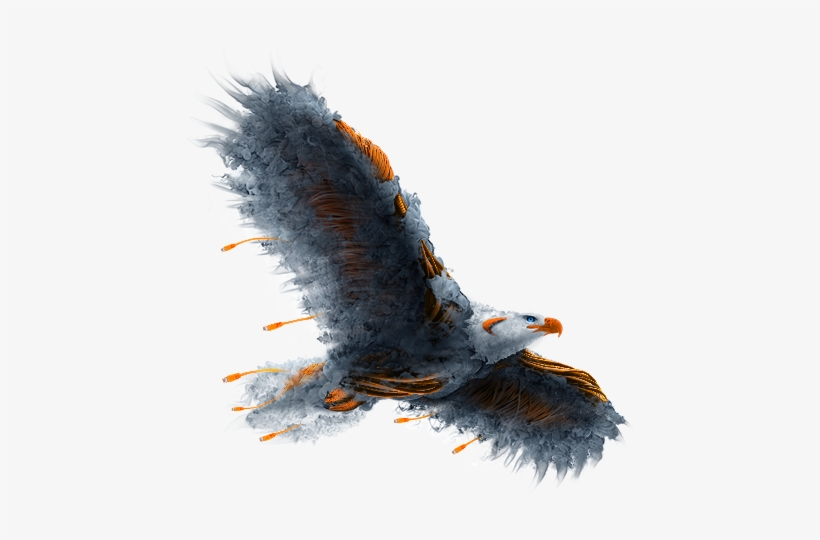 Sonicwall - Pro Services - Per Hour, transparent png download