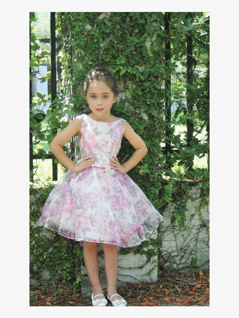 Elena Dress, transparent png download