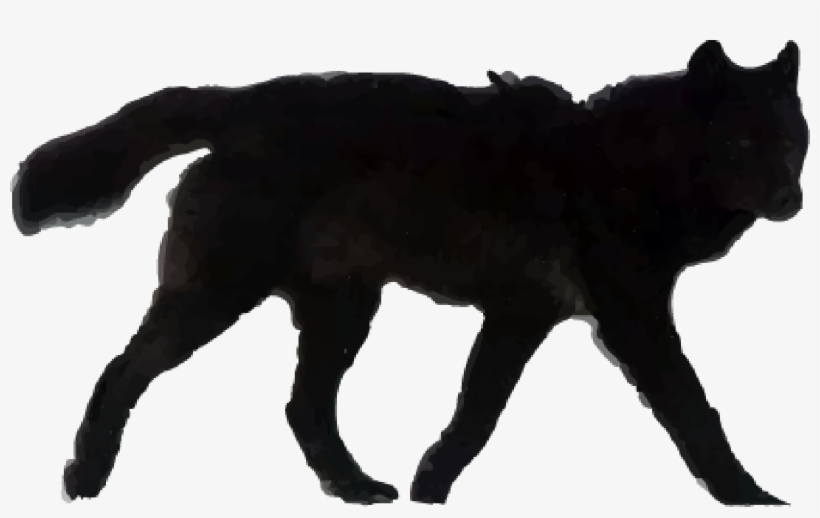 Our Story Black Wolf, transparent png download