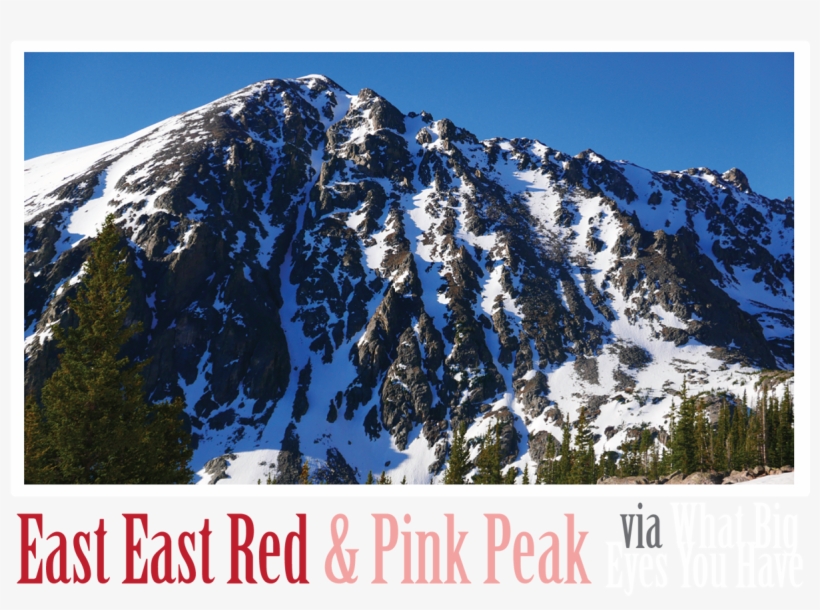 What Big Eyes You Have Is The Name That Has Been Given, transparent png download