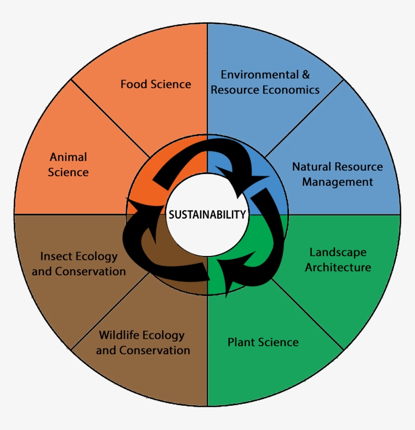 Sustainability At Canrfull Resolution, transparent png download