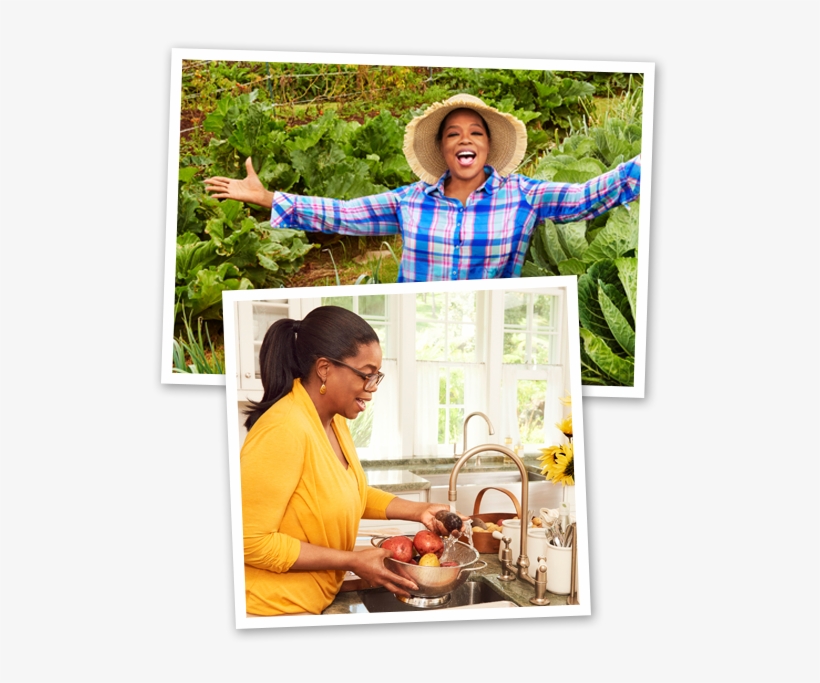Now You Can Eat Pizza Made By Oprah, transparent png download