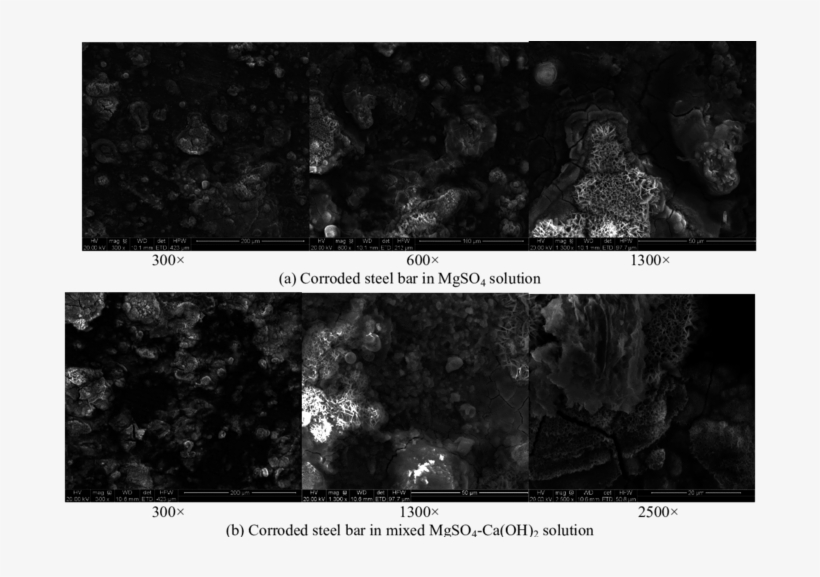 Corrosion Products On Steel-bar Surface In The Mgso4, transparent png download
