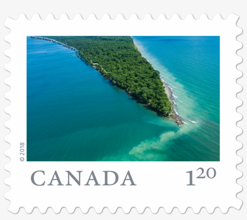 Including A Vintage Car Show , And The Point Pelee, transparent png download