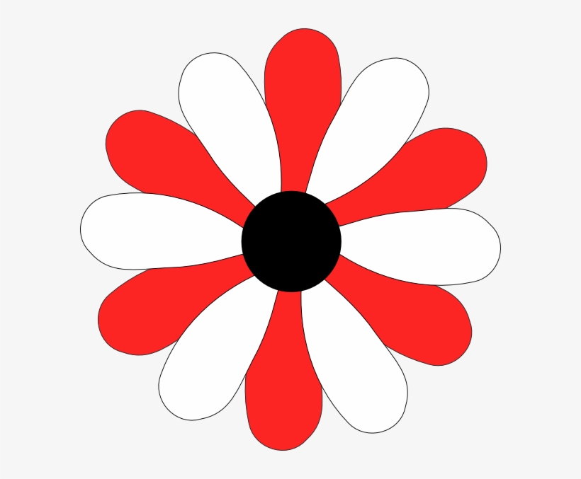 White Daisy Png, transparent png download