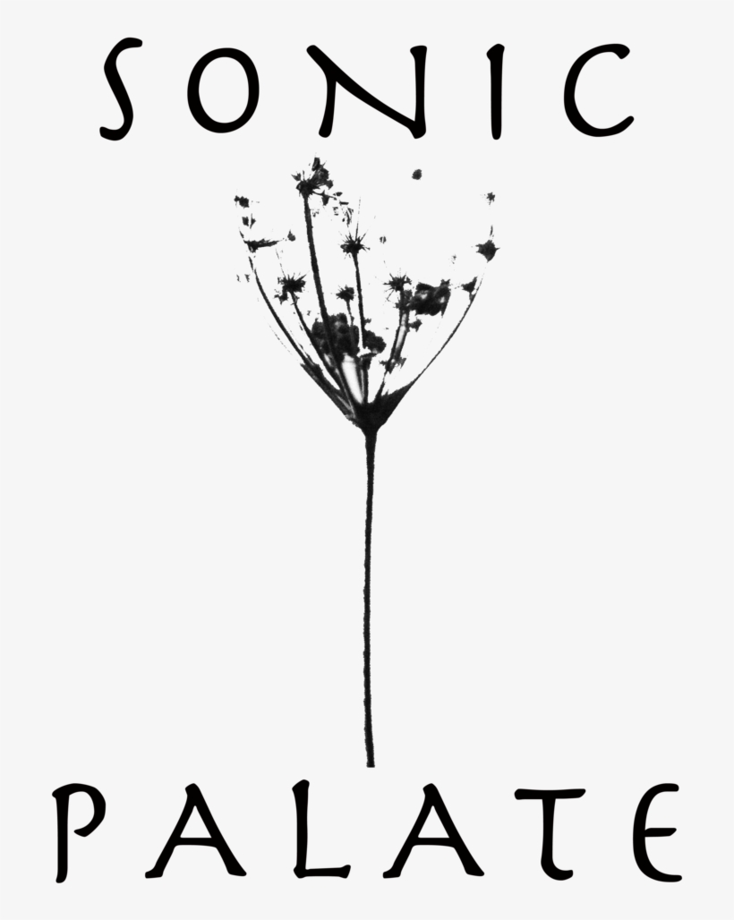 Sonic Running Png, transparent png download