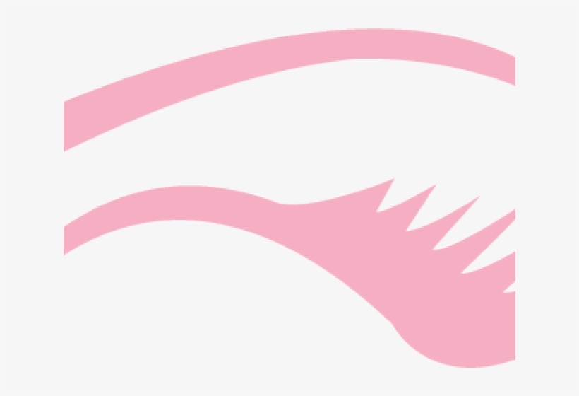 Eyelash Clipart Natural, transparent png download