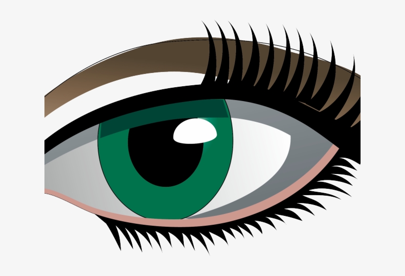Eyelash Clipart Simple Eye, transparent png download