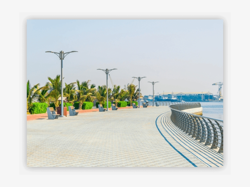 Street Tree Png, transparent png download