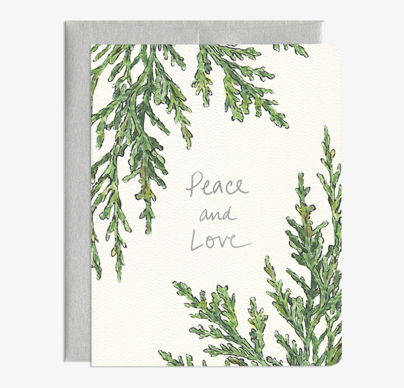 Juniper Peace Card, transparent png download