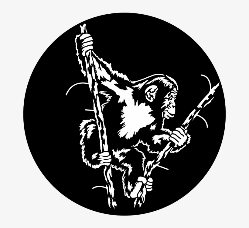 Apollo Swinging Chimp, transparent png download