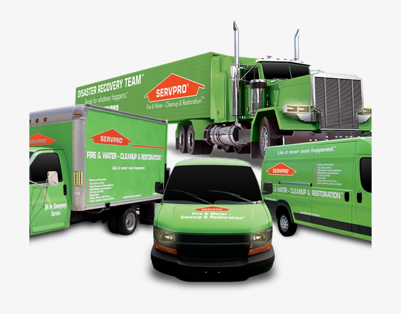 Water Damage Morton Grove / East Niles 24 Hour Emergency, transparent png download