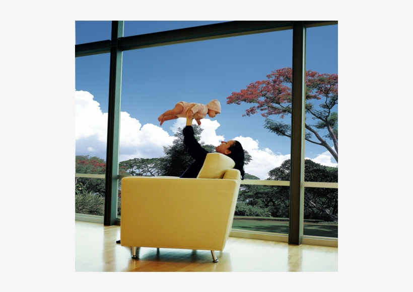 Window Film On Wide Window, transparent png download