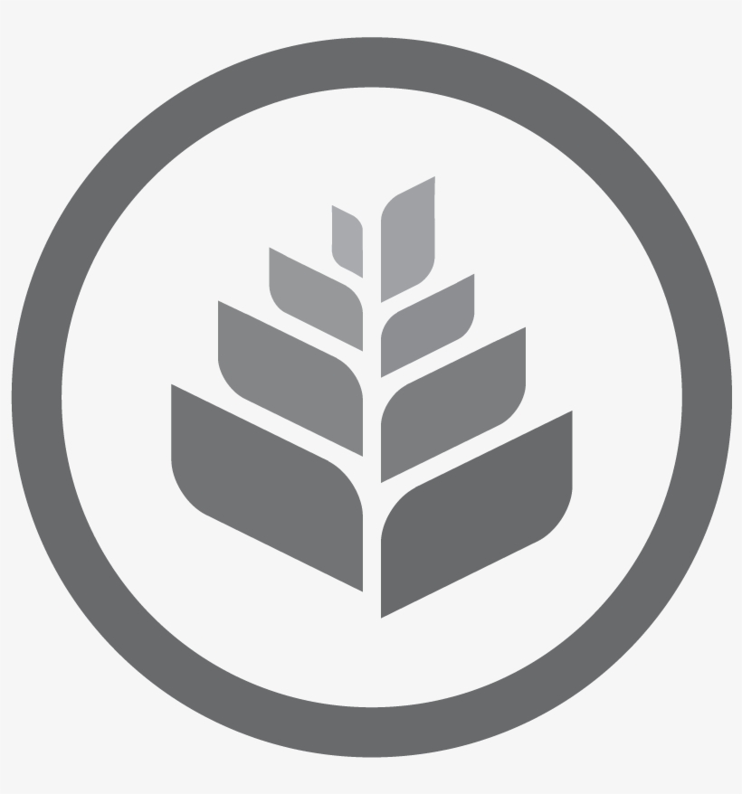 Trigo Png, transparent png download