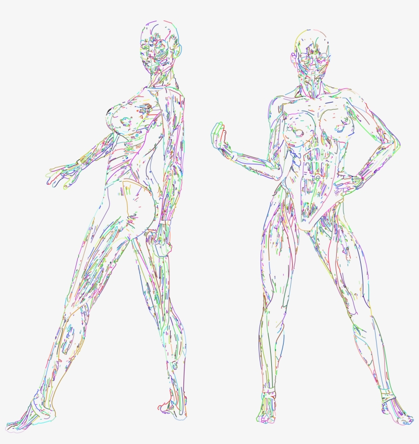 Muscular Women Line Art Prismatic No Bg, transparent png download