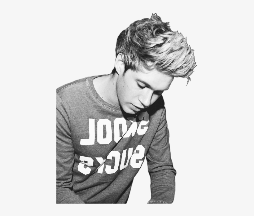 24 Images About Niall Horan On We Heart It, transparent png download