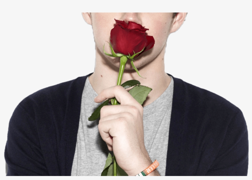 Niall Horan From One Direction Png, transparent png download