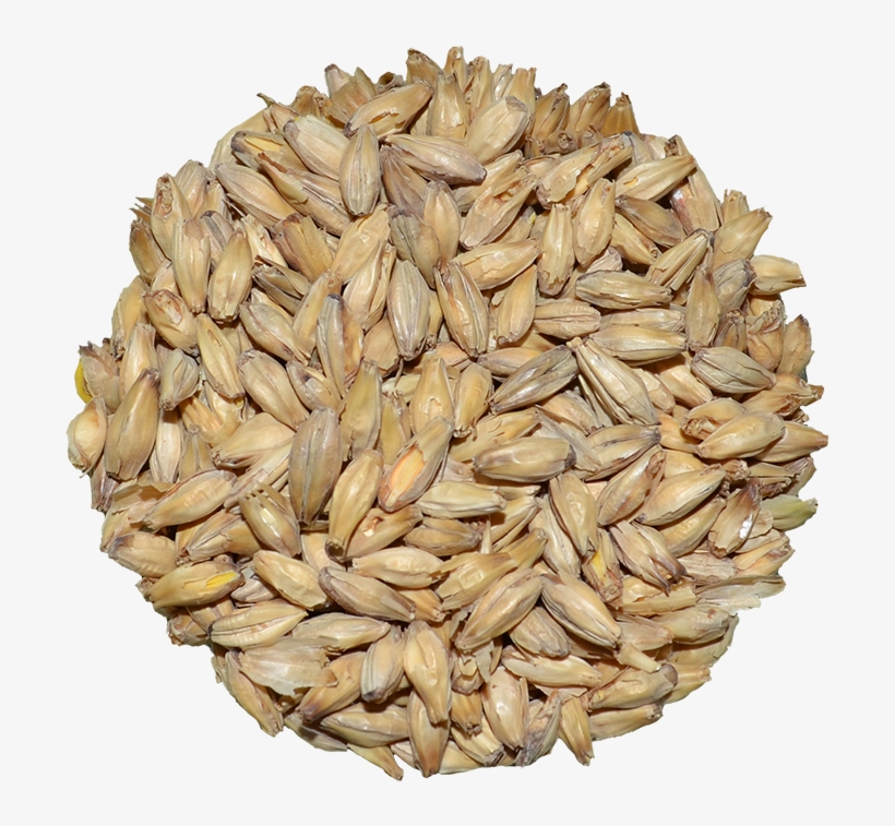 Brewers Malt │ Rahr 6-row, transparent png download