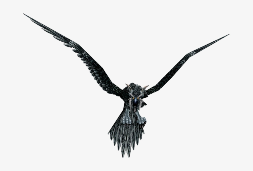 Storm Crow, transparent png download