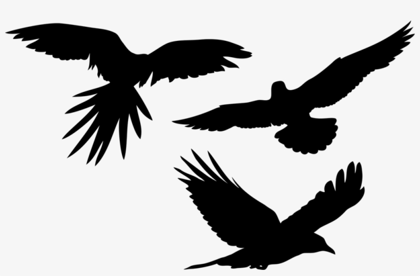 Animal-3175815 1280, transparent png download