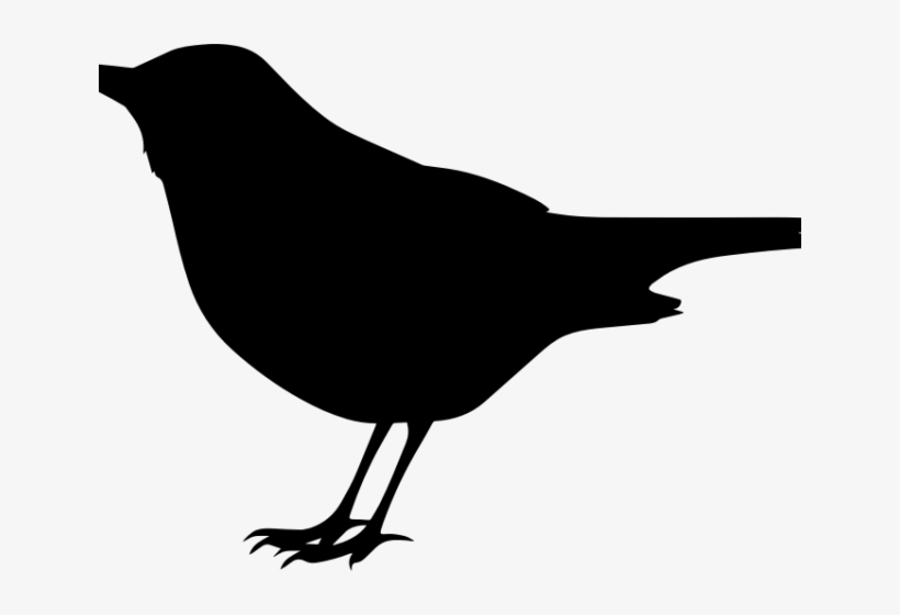 Crow Clipart Flying - Black Bird Clip Art, transparent png download