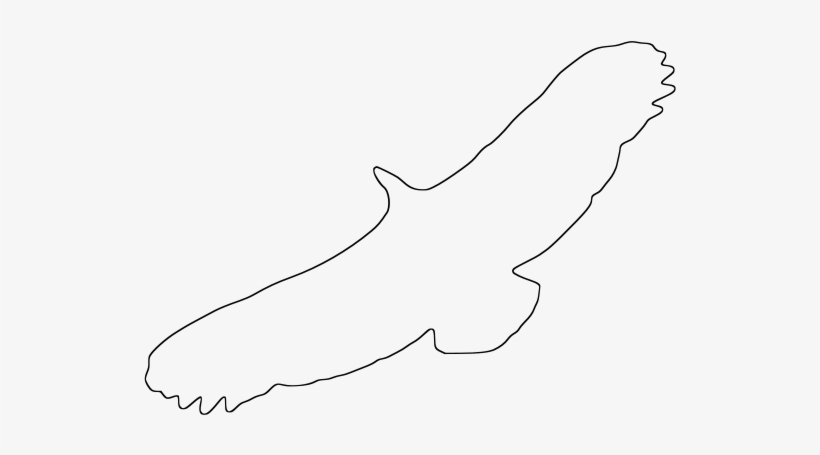 Griffon Vulture Outline Clipart Png, transparent png download