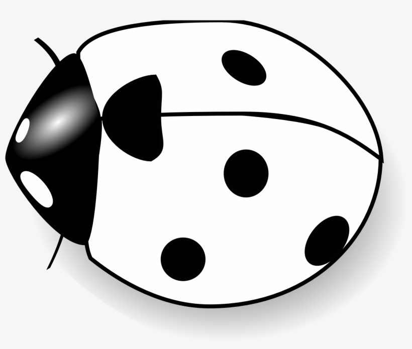 Ladybug On Flower Clipart - Clipart Of Lady Bug Black And White