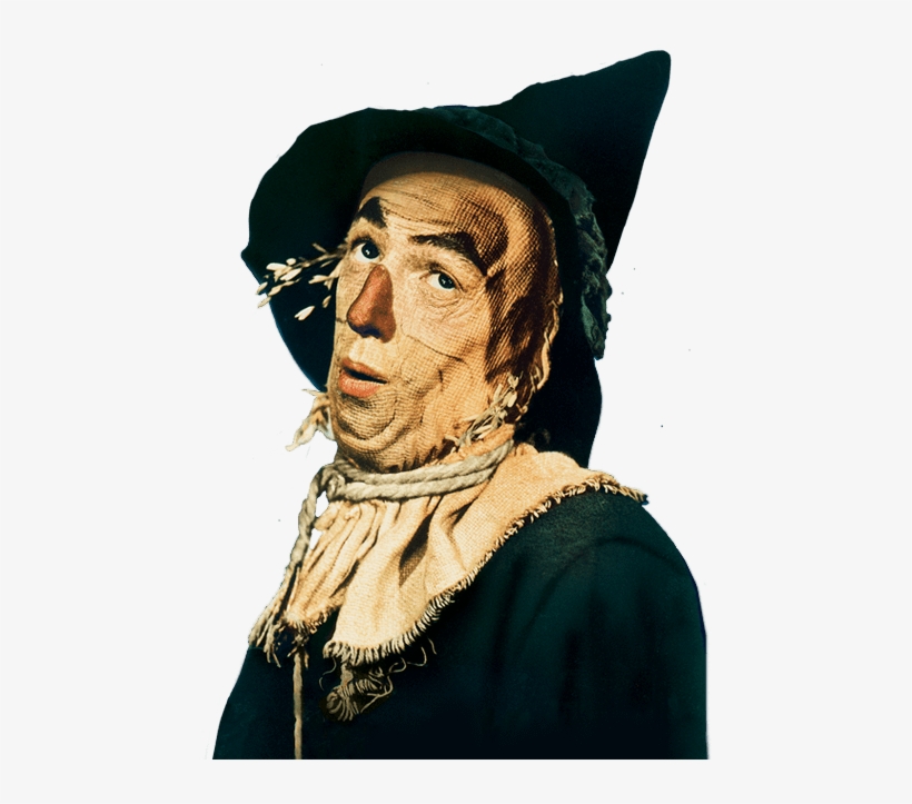 Scarecrow - Mago De Oz Espantapajaros, transparent png download