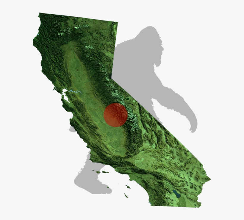 Template For Bfb States Ca Png 24 - California Map Of State, transparent png download