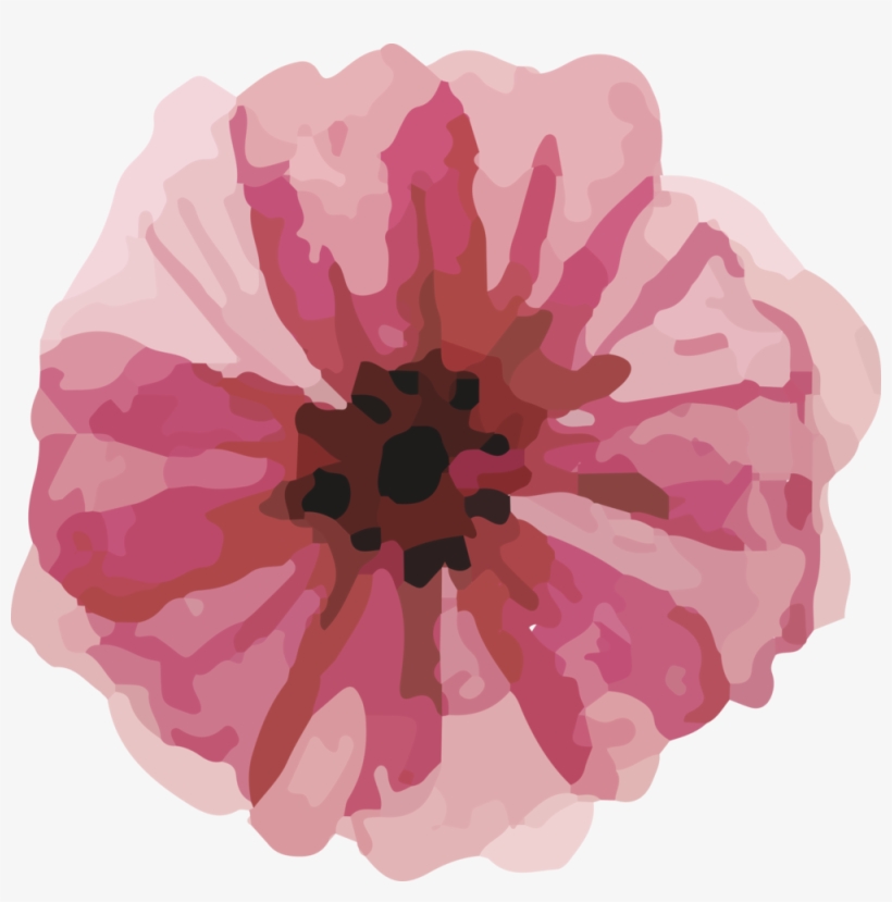 Wedding Photography In Cincinnati Ohio - Address Book : Email Address Book Big Alphabetacal, transparent png download