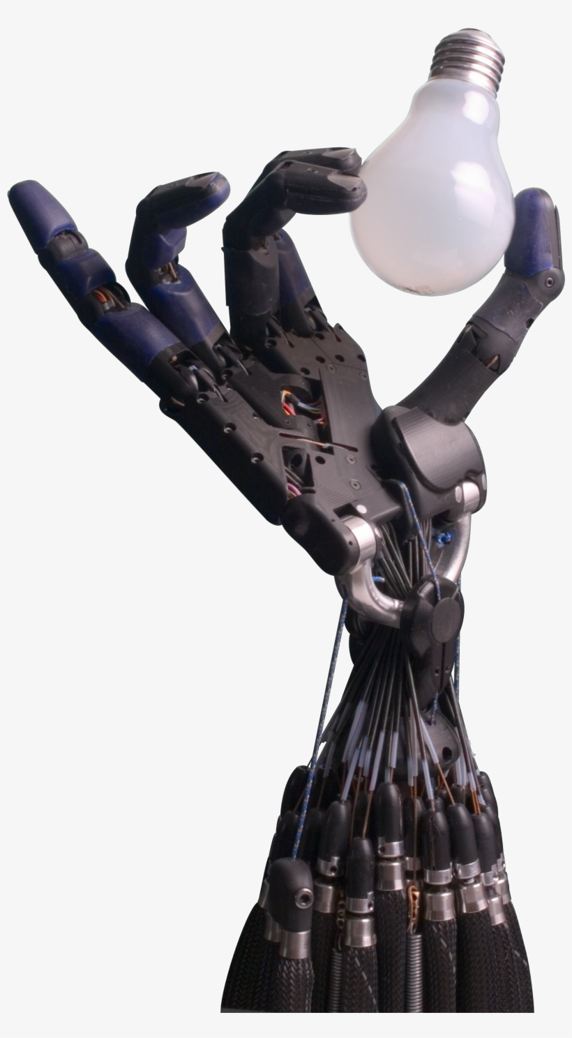 Shadow Hand Bulb Large Alpha - Physics, Volume One: Chapters 1-17, transparent png download