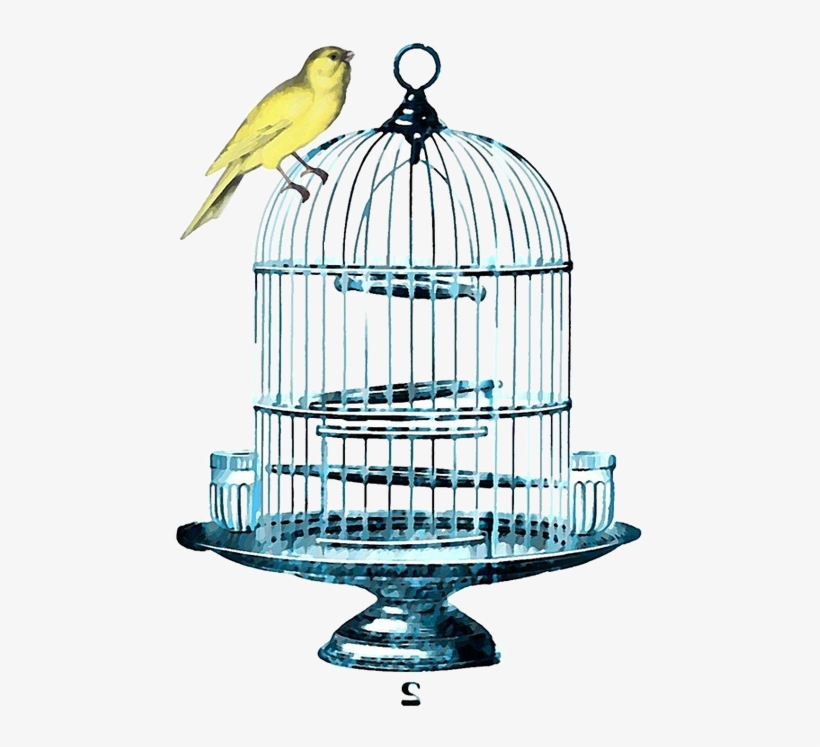 Birdcage Watercolor, transparent png download