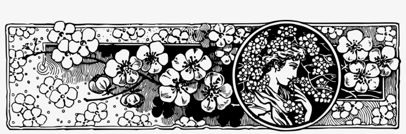 Decorative Divider - Visual Arts, transparent png download