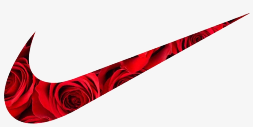 Views, transparent png download