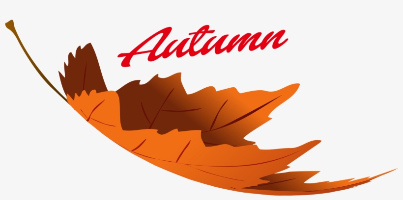 Autumn Leaves Png Image - Fall Leaves Transparent Png, transparent png download