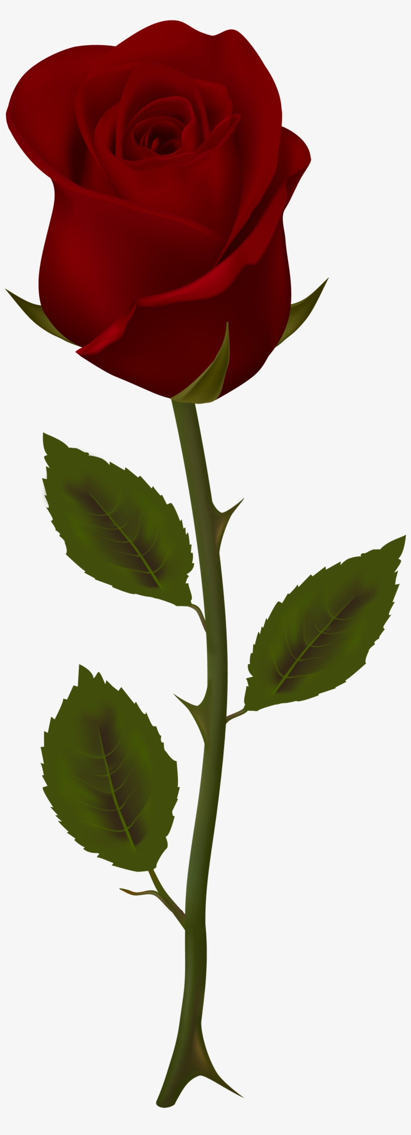 Dark Red Rose Transparent Png Clip Artu200b Gallery - Dark Red Rose Png, transparent png download