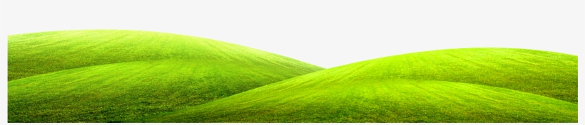 Green Grass Ground Picture - Grassy Ground Clipart, transparent png download