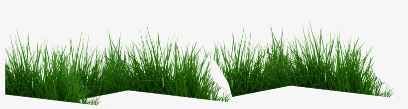 Parallax-grass - Cow Eating Grass Png, transparent png download
