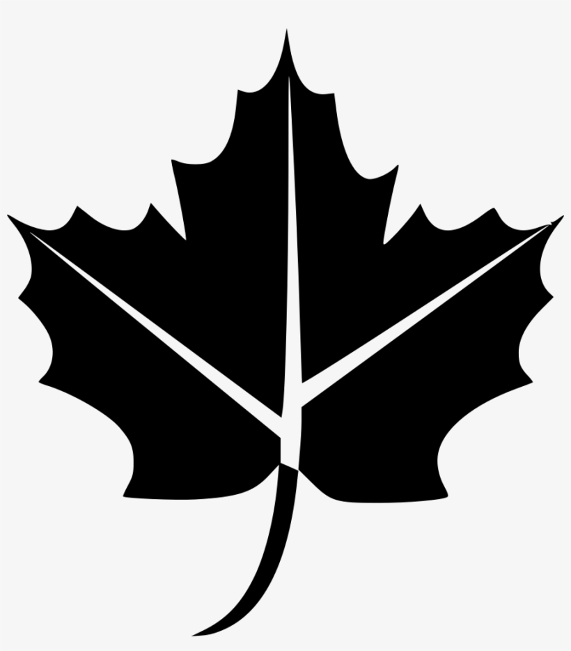 Leaf Autumn Comments - Geotrax Rail And Road Systems, transparent png download