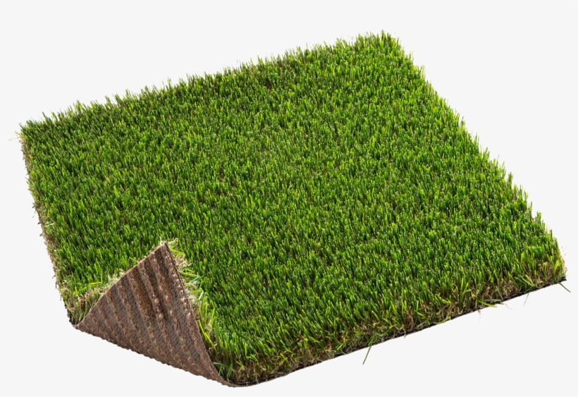 Moorland Grass Has A Shorter Blade Than Other Grasses - 2x04m 2x4m Zurich Pro Cesped Nortene, transparent png download