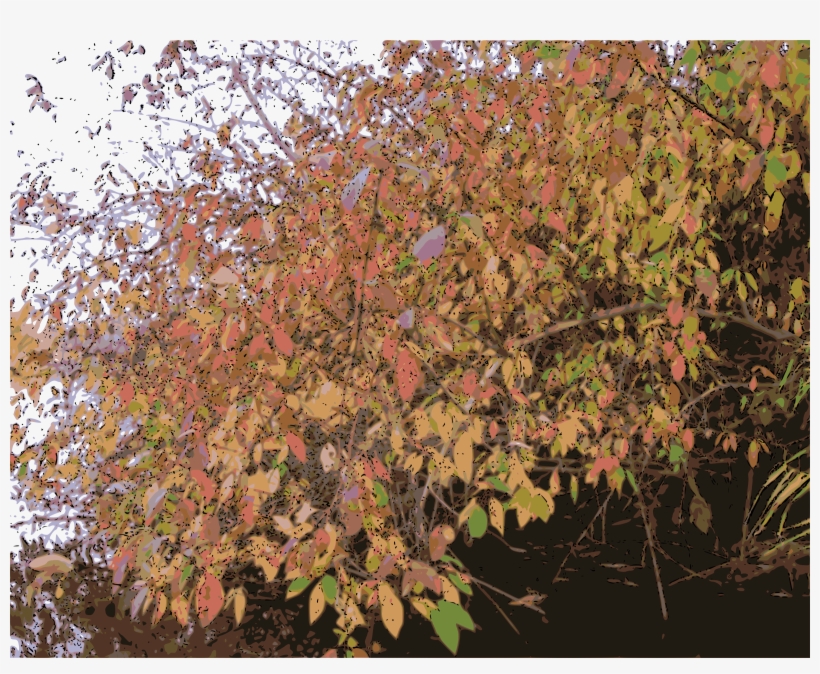 This Free Icons Png Design Of Bush In Autumn, transparent png download