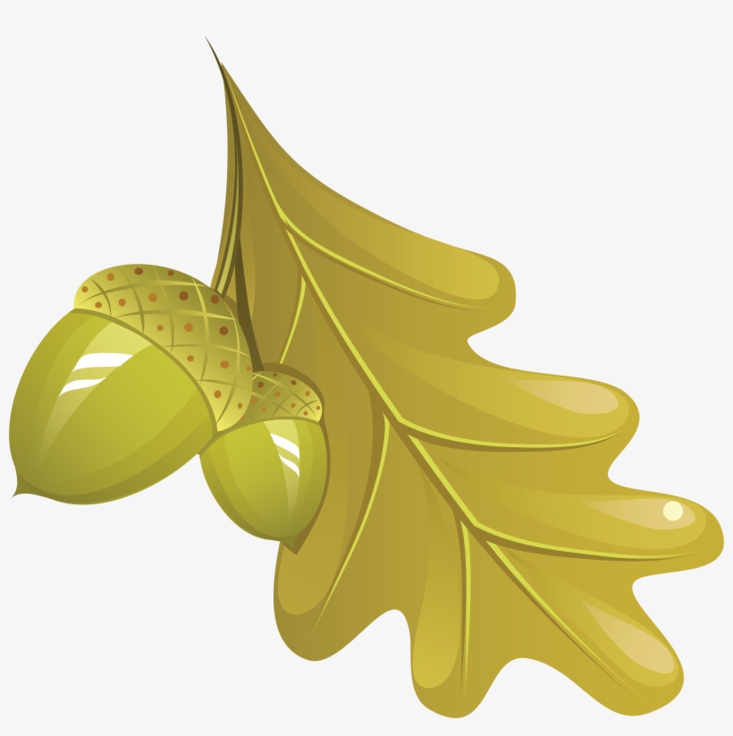 Autumn Leaves Png Image - Дубовый Лист Png, transparent png download
